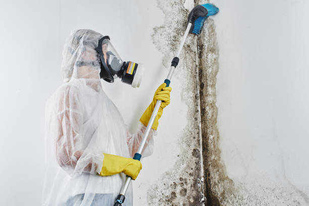 Best Mold Testing  in Moriarty, NM