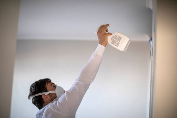 Best Same-Day Mold Removal  in Moriarty, NM