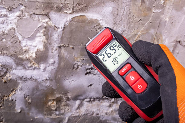 Best Best Mold Removal Companies  in Moriarty, NM