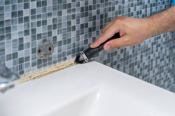 Best Mold Removal Company Near Me  in Moriarty, NM