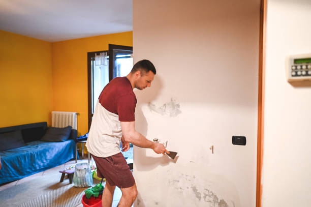 Best Same-Day Mold Removal  in Moriarty, NM
